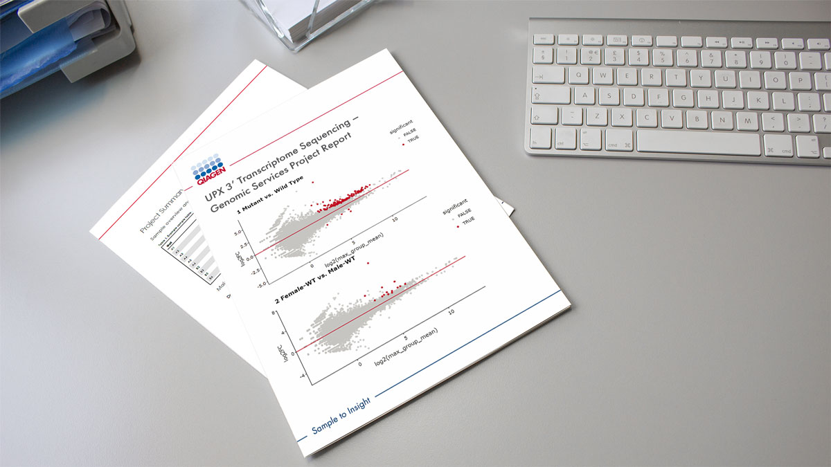 Teaser image with UPX Demo report